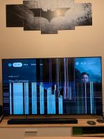 Sony smart, TV 65 Zoll Brandenburg - Müncheberg Vorschau