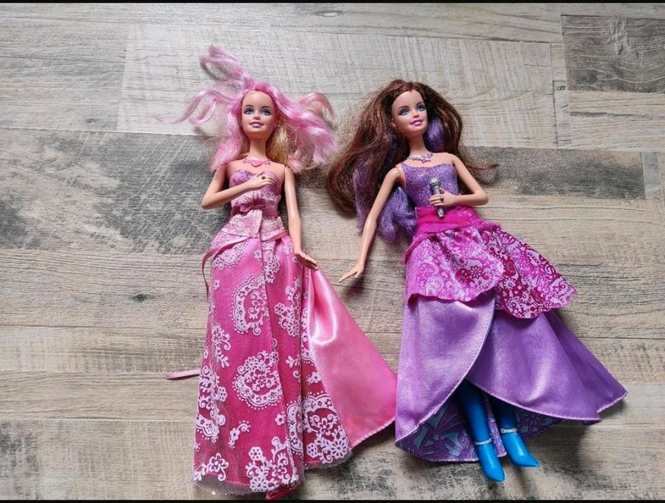 Singende Barbies Die Prinzessin und der Popstar Film Barbie in Alpen