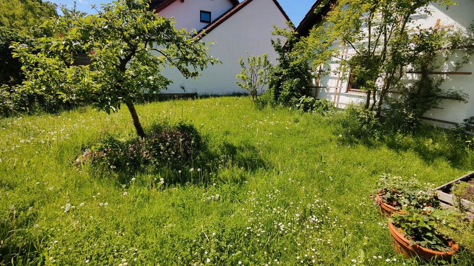 Suche: Gartenhilfe mit eigener Sense oder Balkenmäher in Mittelstetten