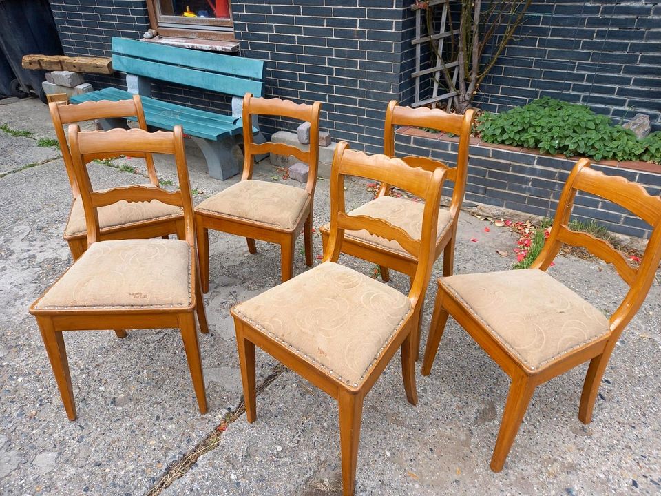 6 Stühle Massivholz braun mit Polster beige, vintage in Frielendorf
