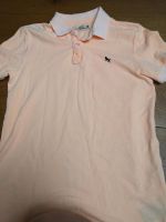 Poloshirt h&m 146 152 shirt Hessen - Bad Orb Vorschau