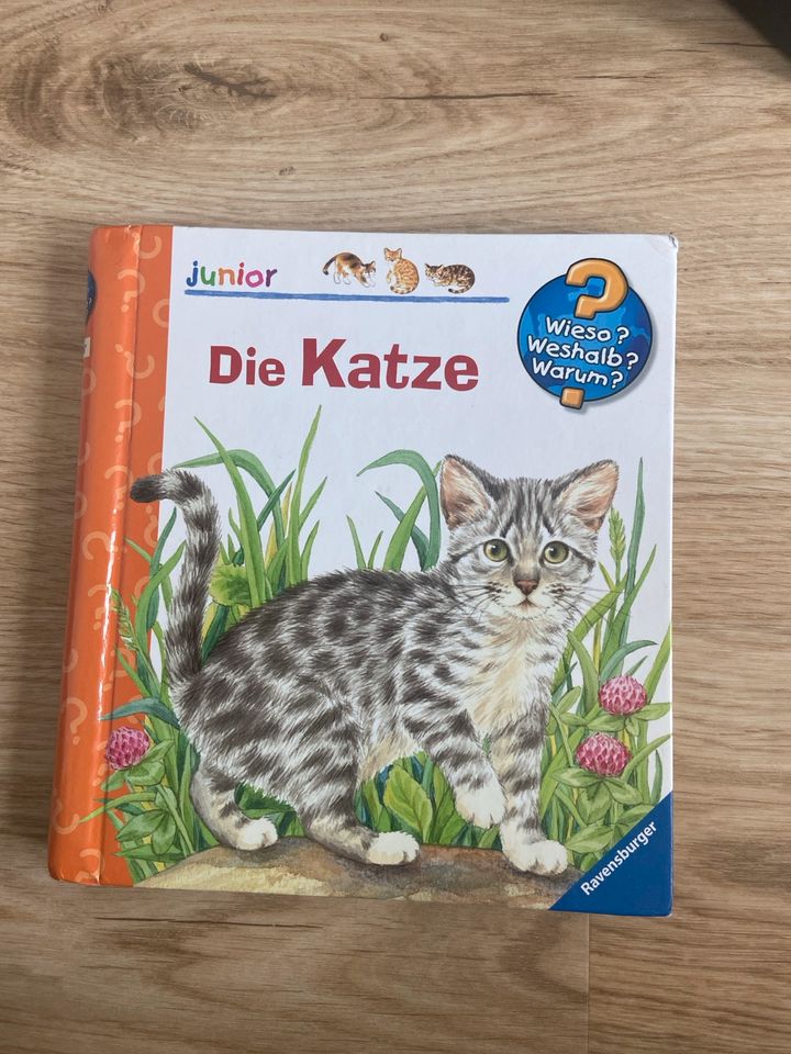 Wieso weshalb warum Junior die Katze Buch in Saulheim