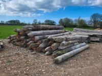 Buhnenpfähle  Ostseebuhnen Nordvorpommern - Landkreis - Barth Vorschau