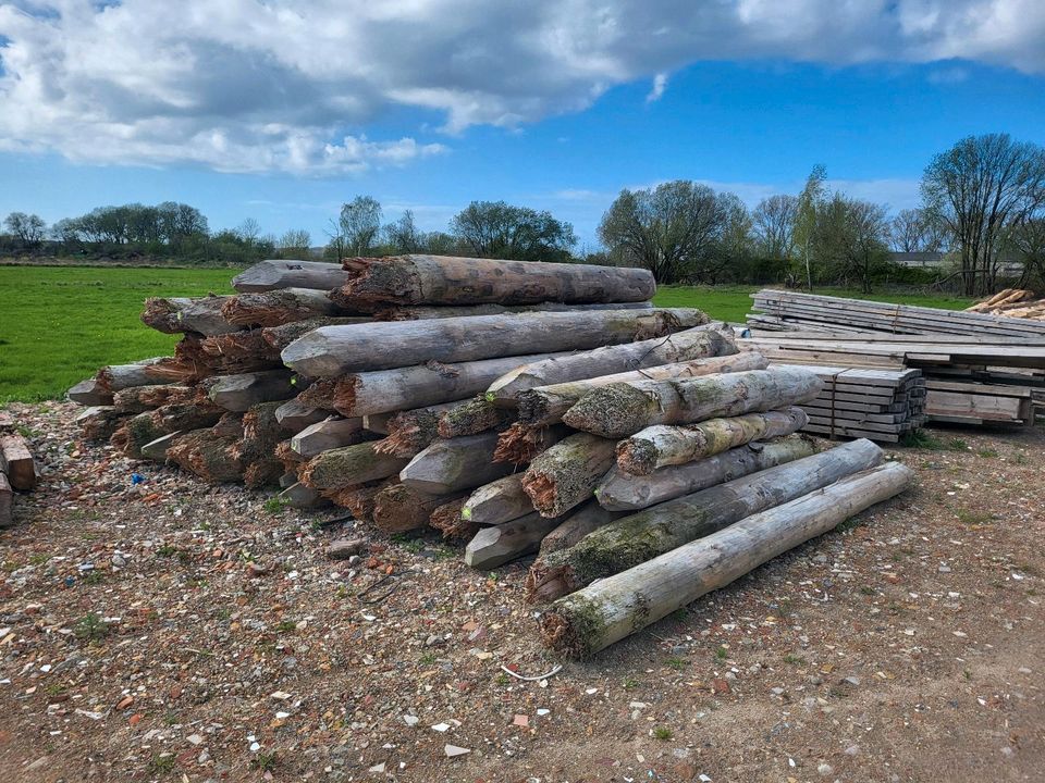 Buhnenpfähle  Ostseebuhnen in Barth