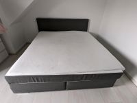 Boxspringbett Hessen - Langgöns Vorschau