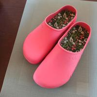 Neue Gartenschuhe Gartenclogs 41/42 pink Niedersachsen - Weyhausen Vorschau