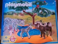 Playmobil 4828 Kaffernbüffel mit Zebras Essen - Essen-Kray Vorschau