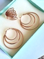 Schmuckset Wild & Free NEU Rosegold Pierre Lang Sachsen-Anhalt - Muldestausee Vorschau