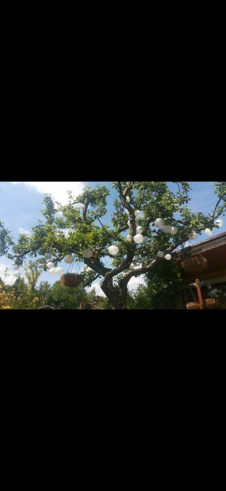 Kleingarten am Rosarium mit Steinlaube in Chemnitz