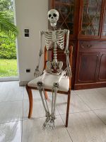 Skelette Kunststoff, 160 cm, Deko, Halloween Innenstadt - Köln Deutz Vorschau