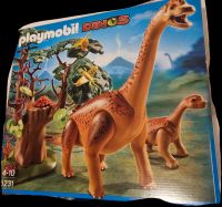 Playmobil Dinos 5231 Niedersachsen - Hemmingen Vorschau