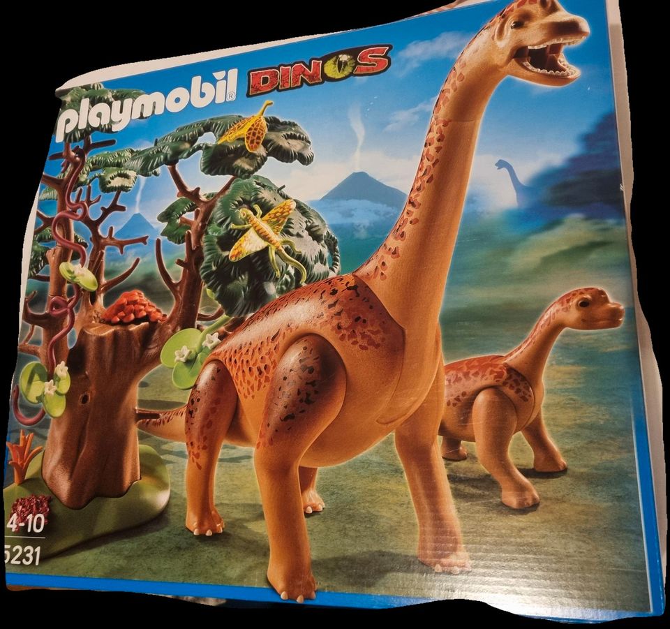 Playmobil Dinos 5231 in Hemmingen