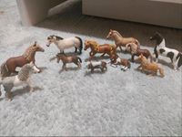 Schleich Pferde Set Nordrhein-Westfalen - Niederkassel Vorschau