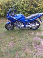 Motorrad Yamaha Diversion Mecklenburg-Vorpommern - Feldberg Vorschau