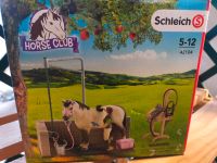 Horse Club Waschplatz Schleich Mecklenburg-Vorpommern - Gnoien Vorschau