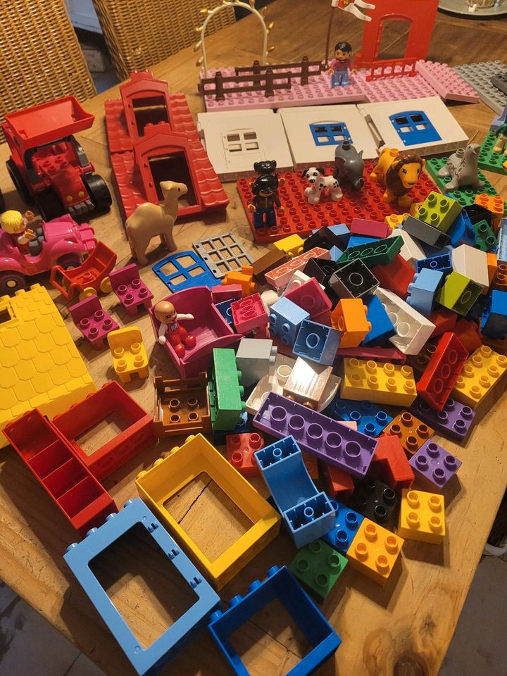 Riesiges Paket an LEGO DUPLO (171 Teile) in Karben