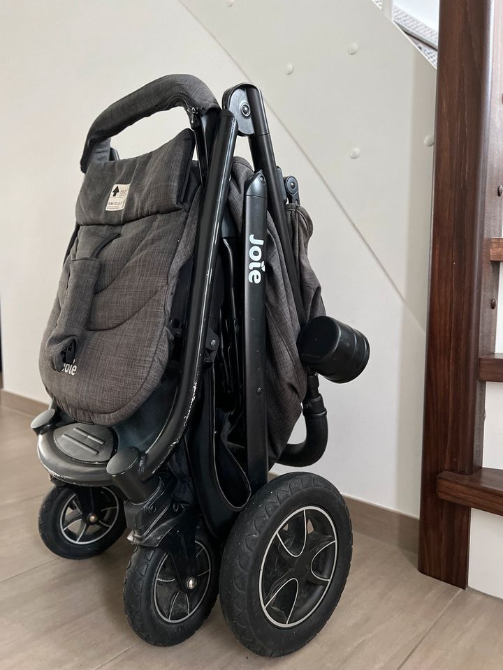 joie Buggy & Sportwagen Mytrax Flex mit Komfort-Federung, in Tarp