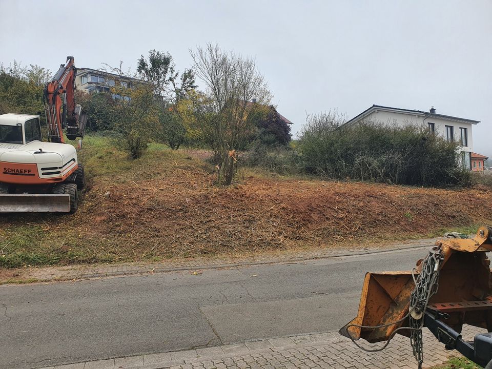 Gartenpflege, Baumfällung, Rodung, Winterdienst in Wolfstein