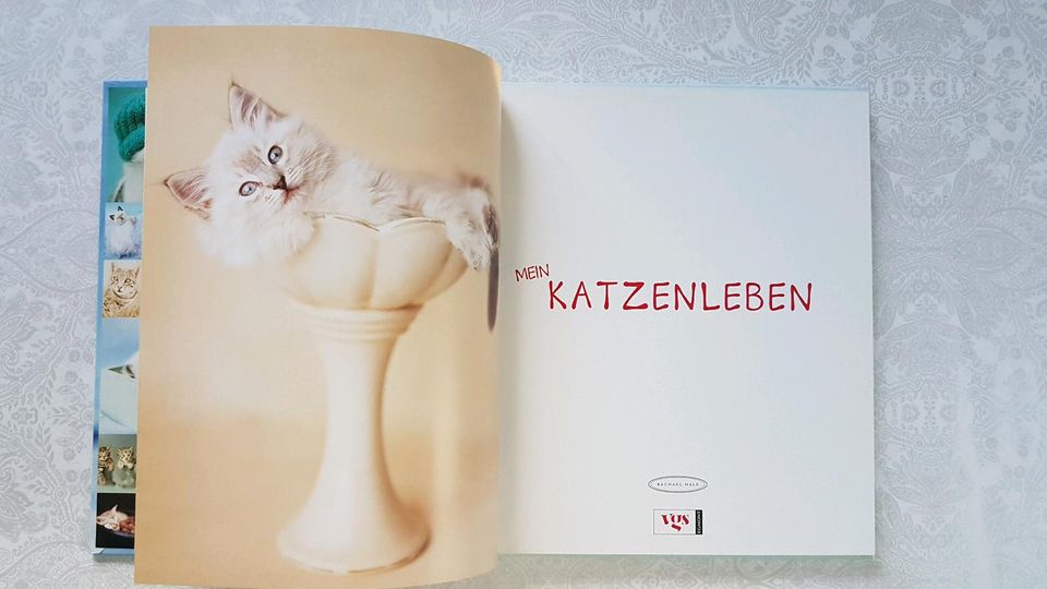 Mein Katzenleben Buch Rachele Hale in Weil am Rhein