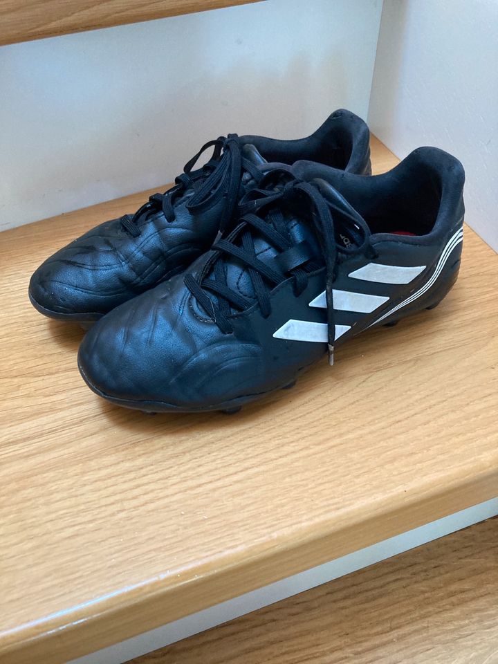 Adidas Fußballschuhe Copa in Größe 36 2/3 in Zotzenheim