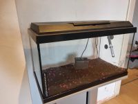 Aquarium 60l mit Standfuß Nordrhein-Westfalen - Spenge Vorschau