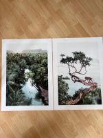 Zwei Poster 50x70 Dschungel / Palmen Hessen - Wiesbaden Vorschau