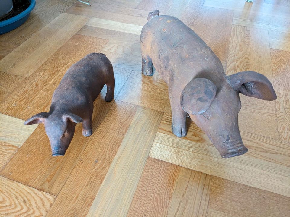 Gusseisen Schwein, Ferkel in Ulm