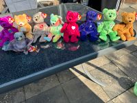 Beanie Babies Rheinland-Pfalz - Illerich Vorschau