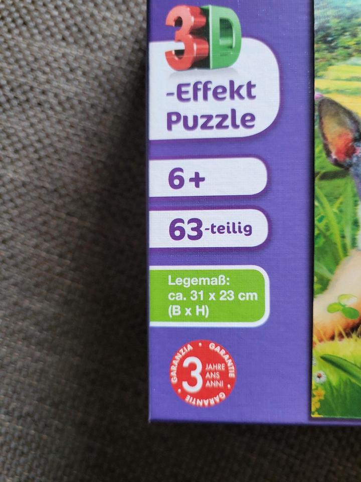 2  3D Puzzle in Reil