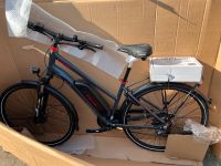 Fischer Trekking E-Bike Viator 1.0 Fahrrad anthrazit 28“ Kreis Pinneberg - Holm Vorschau