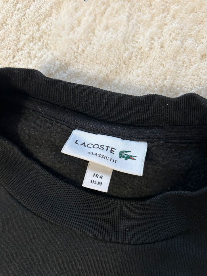 Lacoste Pulli in Bünde