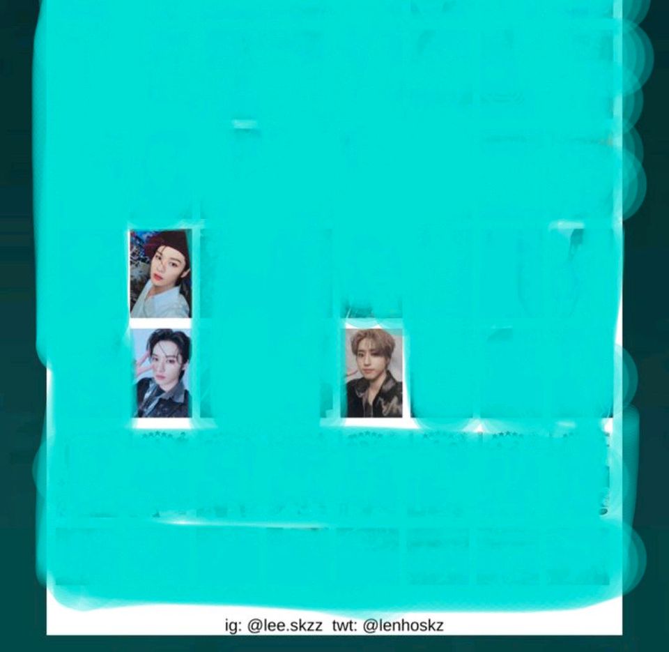WTT SUCHE Stray Kids 5-Star Photocard's Case + Case POB Version in Hamburg