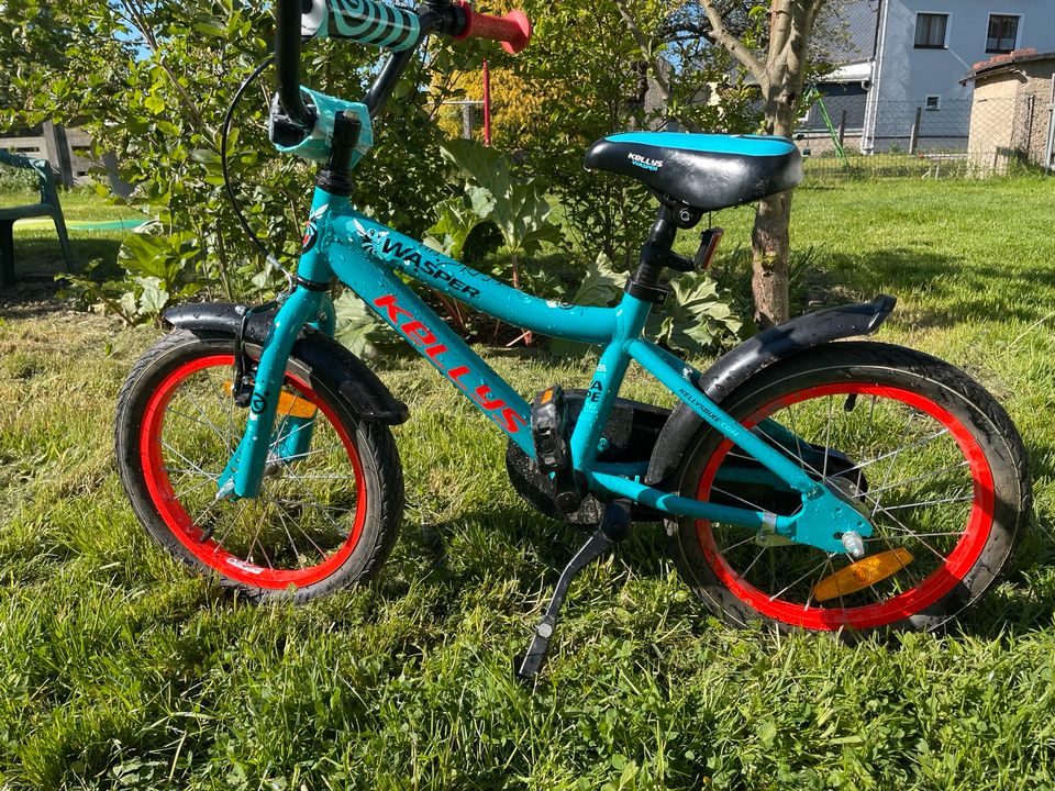 Kinderfahrrad KELLYS Wasper 16" in Grünhainichen