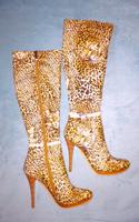 Pirat Musketier Halloween Fastnacht Karneval Stiefel Highheel Leo Brandenburg - Löwenberger Land Vorschau