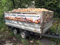 ☘️ Kaminholz Brennholz Scheitholz frisch/getrocknet Neustadt Thüringen - Schleiz Vorschau