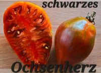 Tomate Schwarzes Ochsenherz - Jungpflanzen pro 2,50 Bayern - Tegernheim Vorschau