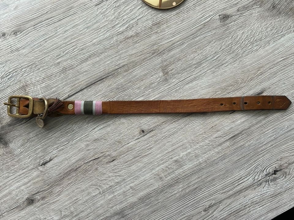 Halsband Leder in Hildesheim