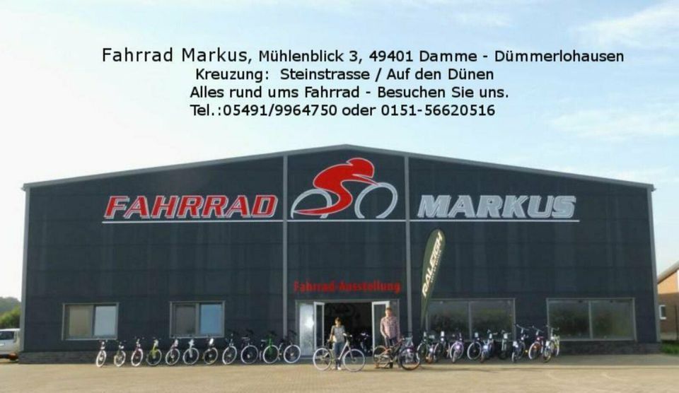 28" E-Bike Gazelle Arroyo C8+HMB Elite 500 Bosch Fahrrad 2021 NEU in Damme