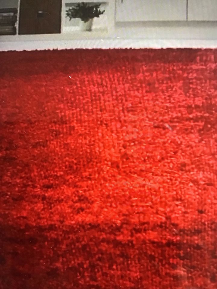 Roter Longflorteppich 3 x 2 m in Flensburg