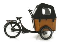 Lastenrad Lastenfahrrad Deluxe Vogue Cargo Bike Elektro Thüringen - Gehaus Vorschau