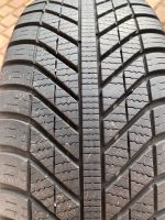 Goodyear Vector 4 Seasons 205/55 R16 94V Sachsen-Anhalt - Halberstadt Vorschau