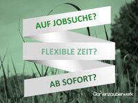 Wir suchen Flyer Verteiler/in (m/w/d) Schleswig-Holstein - Itzehoe Vorschau