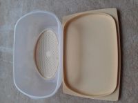 Tupperware Käse Max gelb Buchholz-Kleefeld - Hannover Groß Buchholz Vorschau