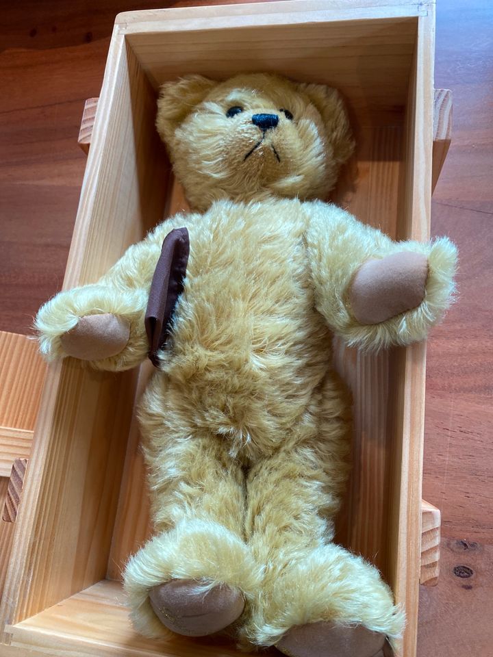 Kuschelwuschel Teddybär, Karstadt Teddybär des Jahres 1999/2000 in  Niedersachsen - Barsinghausen | eBay Kleinanzeigen ist jetzt Kleinanzeigen