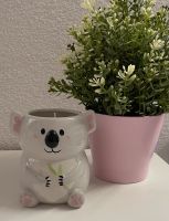 Charmed Aroma Koala - mit Schmuck Baden-Württemberg - Crailsheim Vorschau