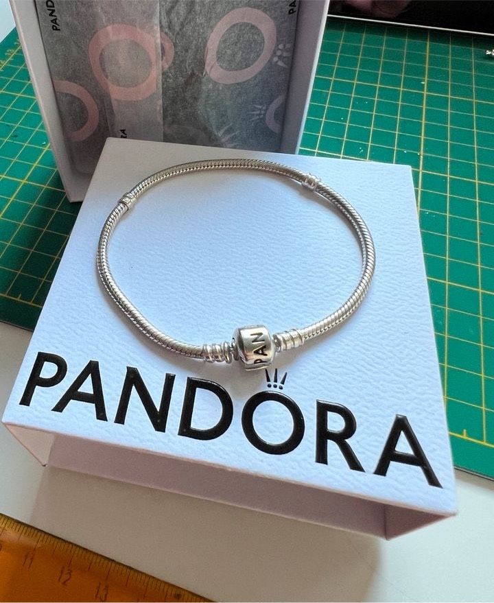 Pandora Moments Armband in Wiesbaden