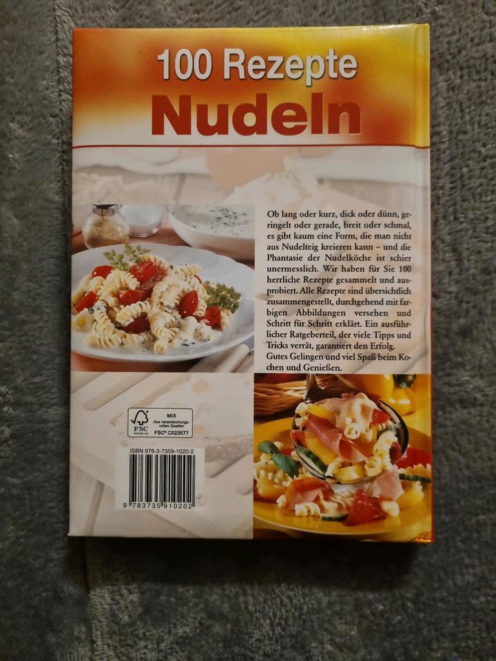 100 Rezepte Nudeln - Kochbuch in Frankfurt am Main