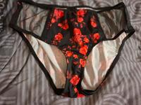 sehr schöner Slip mit Rosenblüten Gr 50 neuware Nordrhein-Westfalen - Dorsten Vorschau