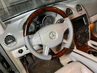 Holzlenkrad Mercedes W164 ML GL X164 W251 R Klasse  Lederlenkrad Nordrhein-Westfalen - Gelsenkirchen Vorschau