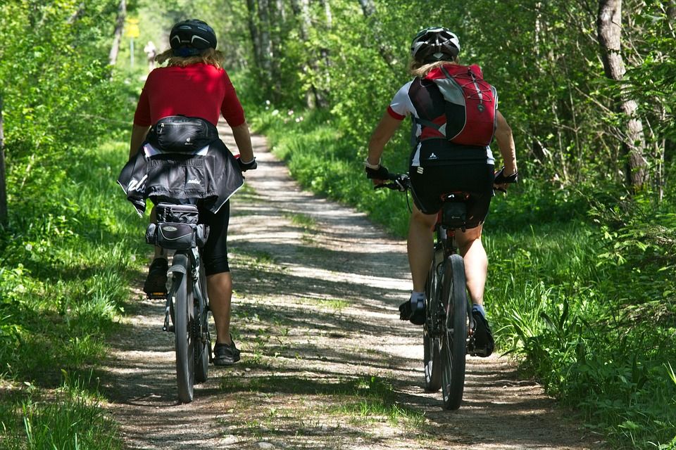 Pfötchenurlaub in St. Andrasberg/Tolle Fewo für 2-4 Pers. im Harz in St. Andreasberg